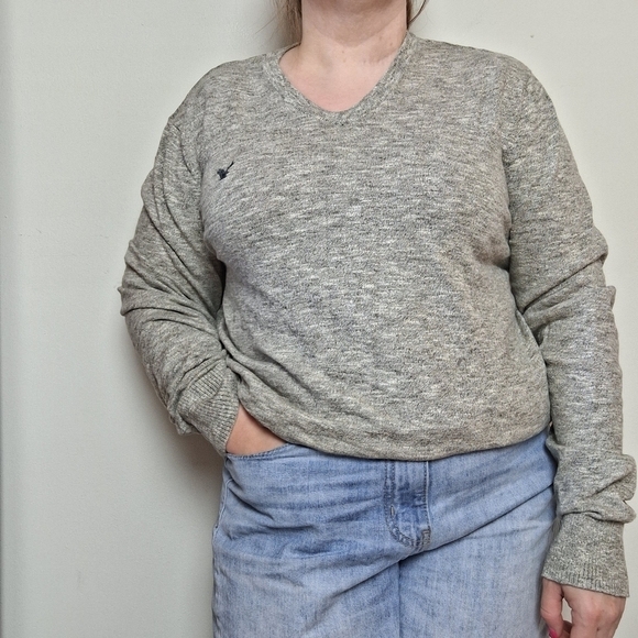 American Eagle Outfitters Other - American Eagle Men's Classic Fit V Neck Cotton Sweater Size Medium